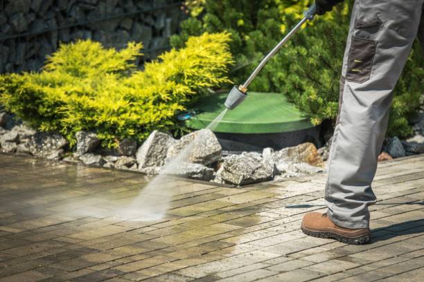 Best Boat and Dock Cleaning  in Sumas, WA