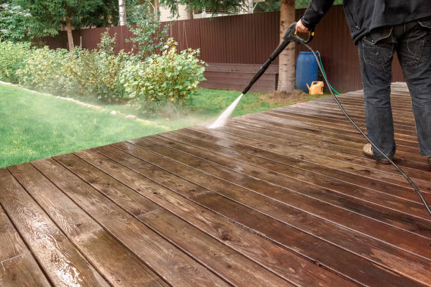 Best Roof Washing  in Sumas, WA